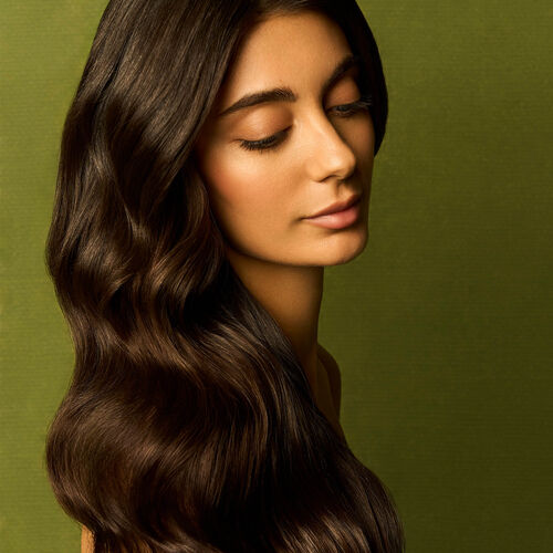 Argan Nourishing Shampoo image number null