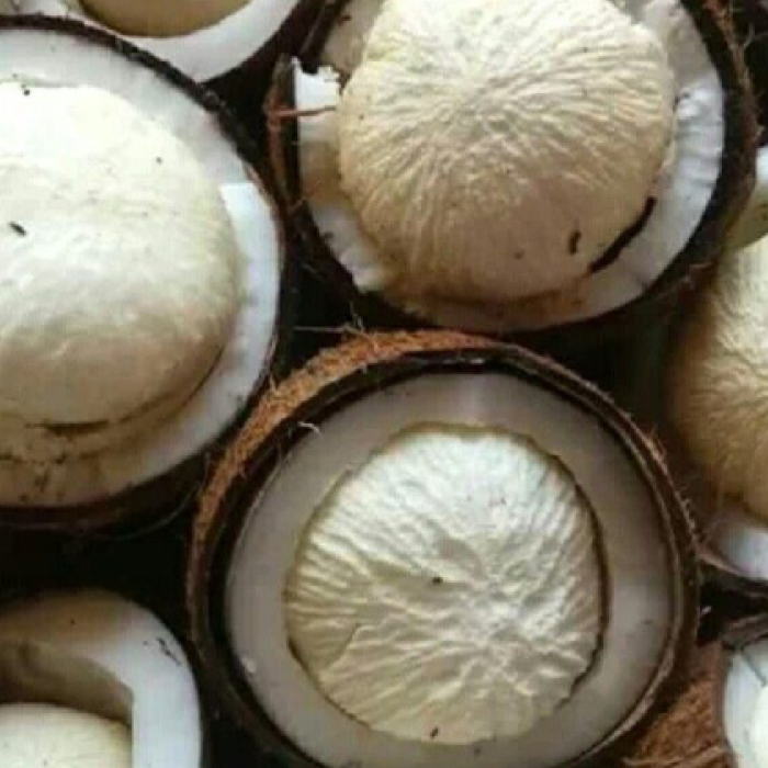 Coconut Flower Vinegar