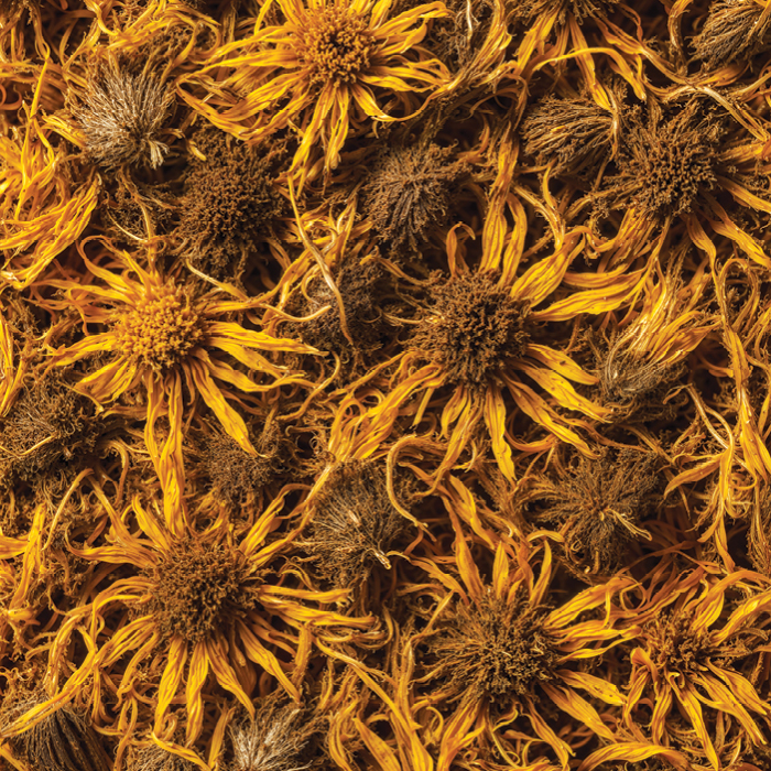 Arnica Oil