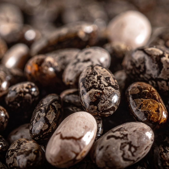 Chia Seed Extract (ProCutiGen Bond)